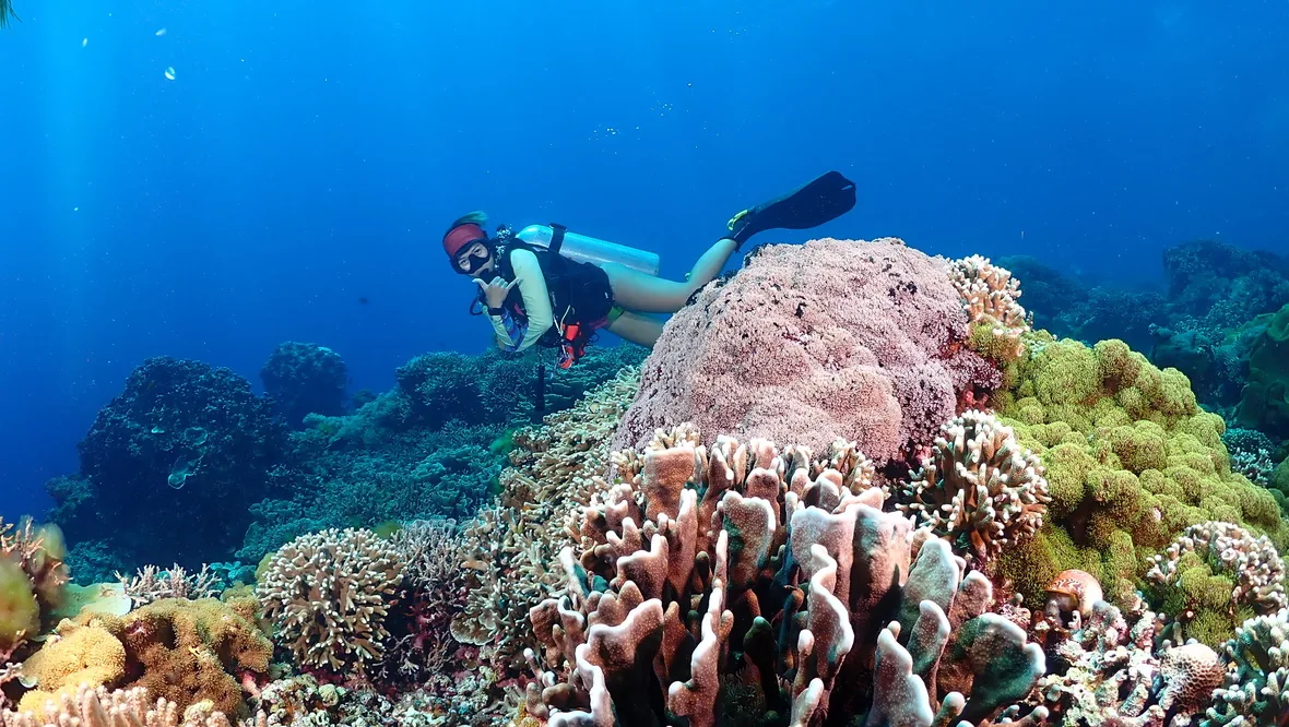 Diver above the reef at Apo Island
