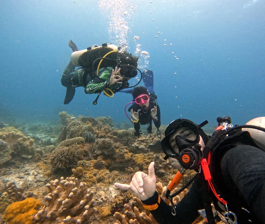 Divers swimming together during a La Tortue trip in Dauin and Apo Island