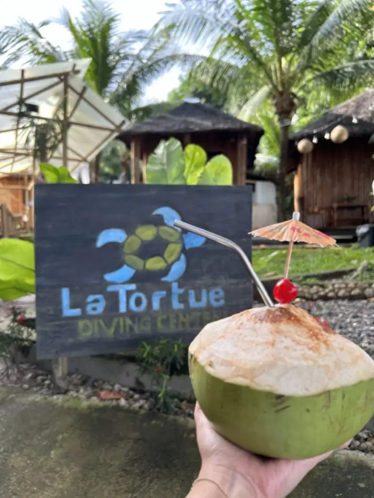 Noix de coco fraîches servies à La Tortue