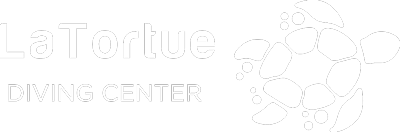 La Tortue Diving